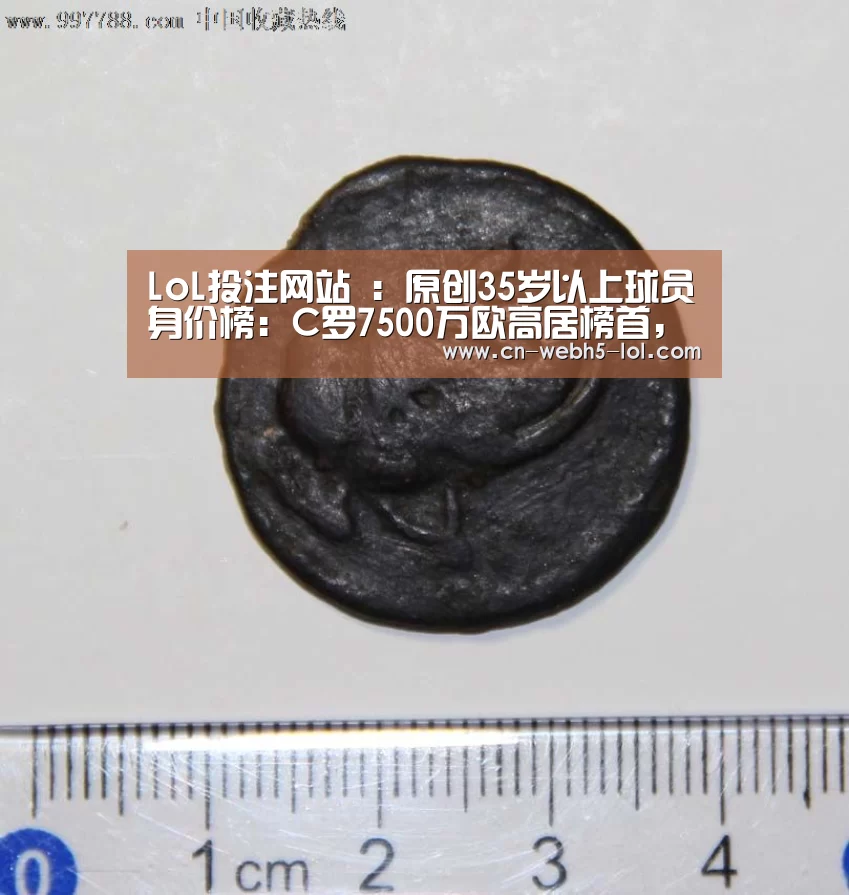 LoL投注网站 