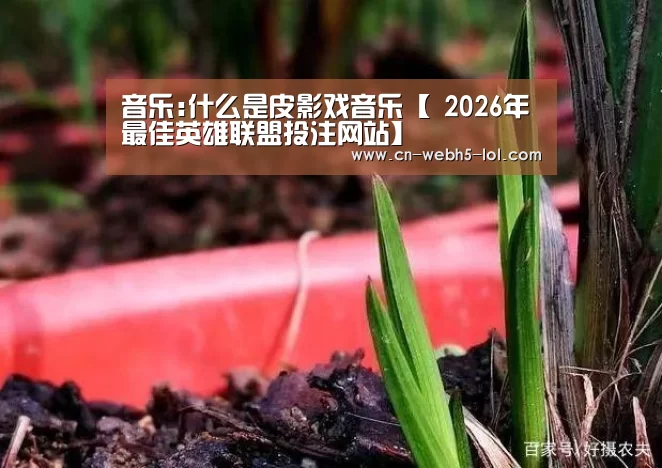  2026年最佳英雄联盟投注网站