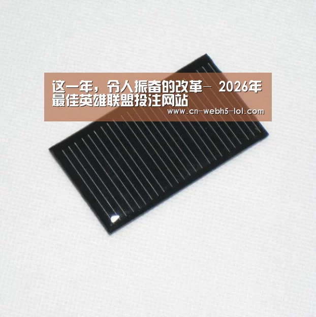 这一年，令人振奋的改革- 2026年最佳英雄联盟投注网站