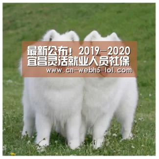 LoL投注网站 