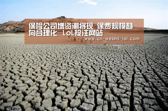LoL投注网站 