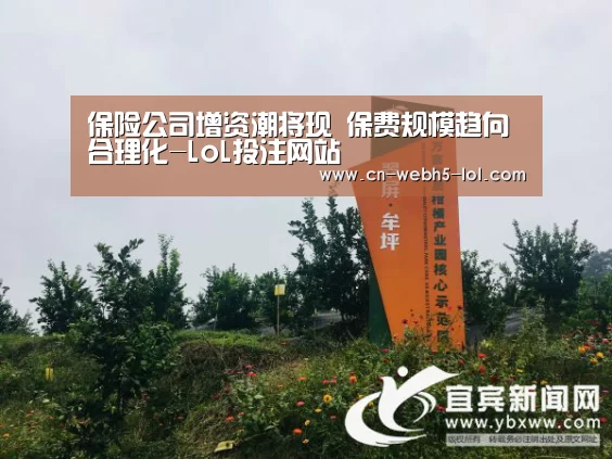  2026年最佳英雄联盟投注网站